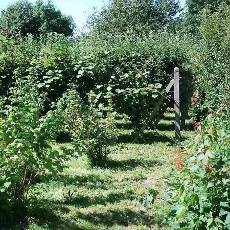 Le Clos Des Tilleuls La Vendelee Экстерьер фото