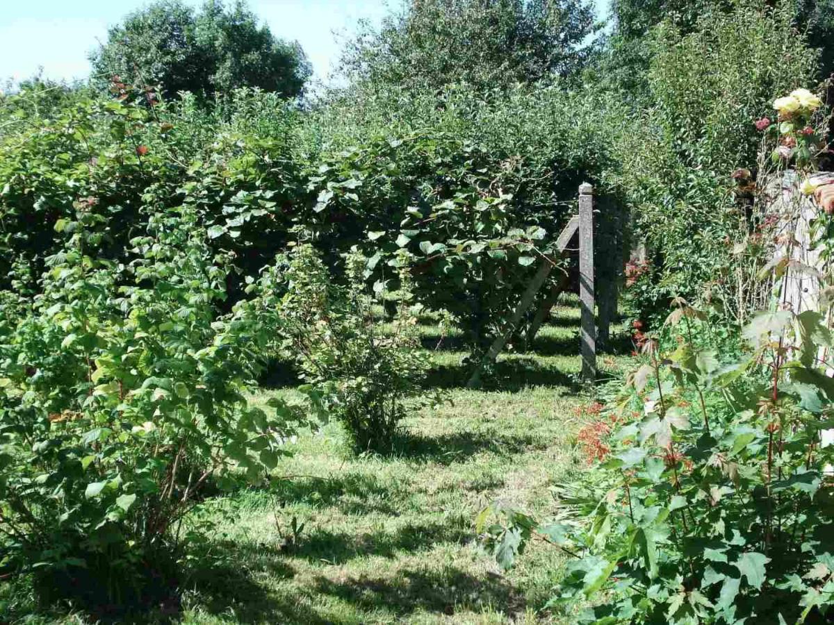 Le Clos Des Tilleuls La Vendelee Экстерьер фото