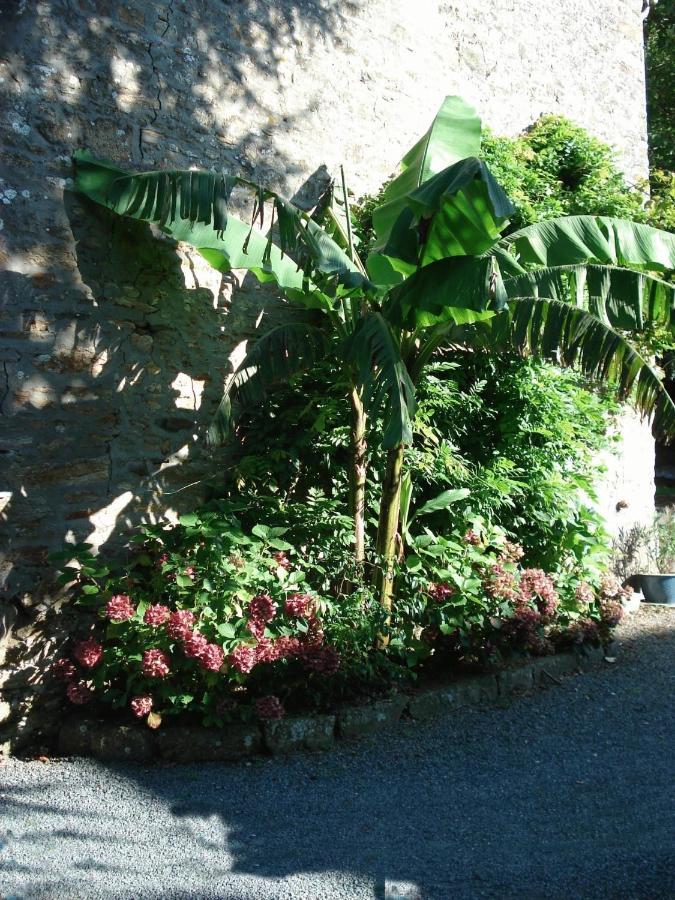 Le Clos Des Tilleuls La Vendelee Экстерьер фото
